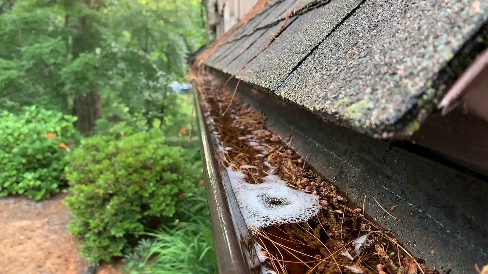 Gutter Cleaning CS Collins Gutters